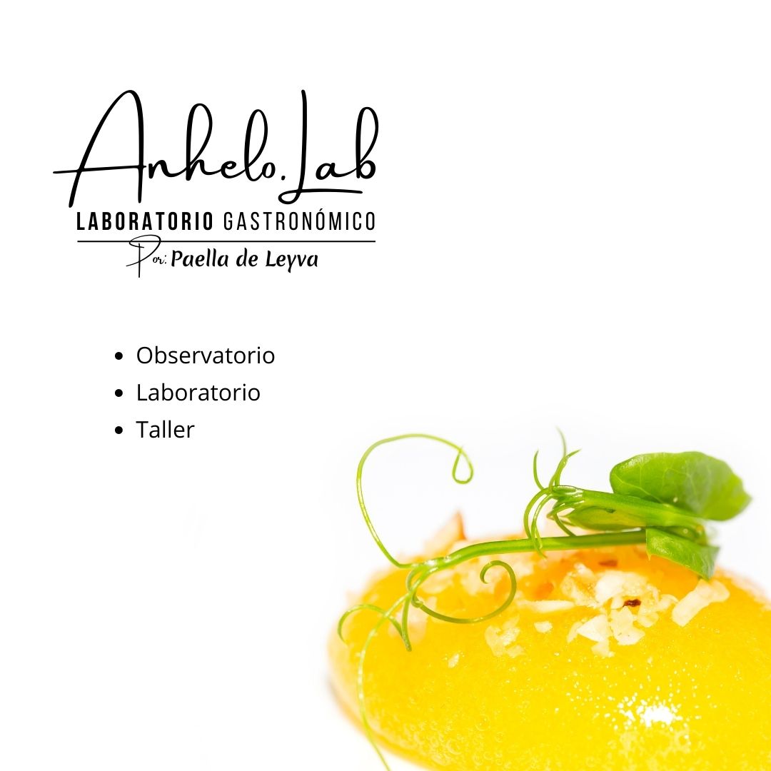 lboratorio gastronomico paella villa leyva restaurante